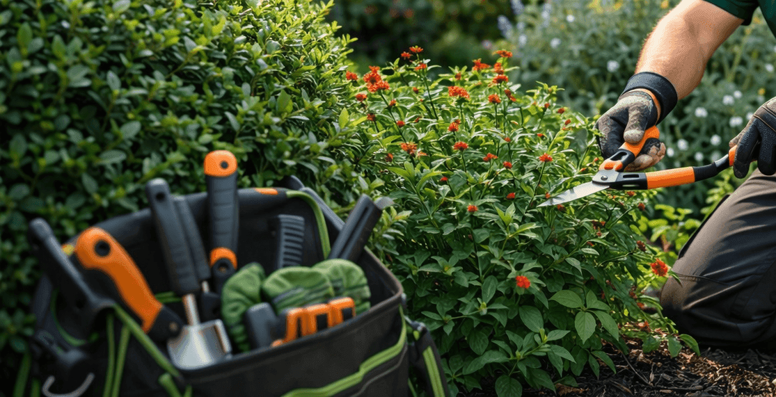 Well-maintained garden beds in Sydney